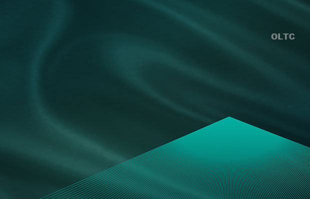 立式箱頂手輪式手動籠形分接開關(guān)-中部調(diào)壓